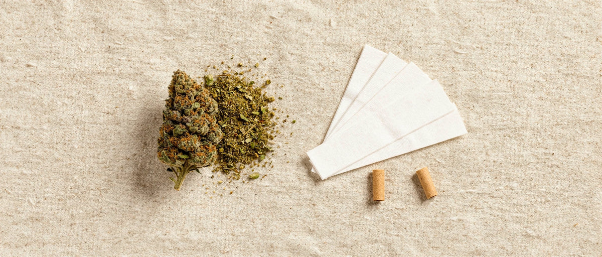 CBD-Blüte, gemahlenes Blütenmaterial, Blättchen und Filtertips auf Leinen, Thema CBD rauchen