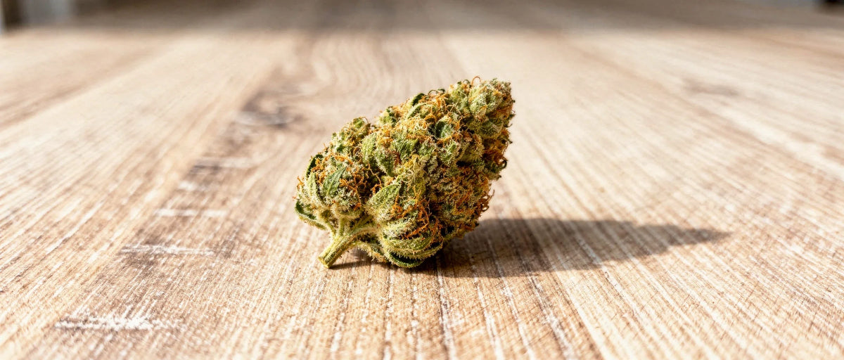 CBG Wirkung: Das Mutter-Cannabinoid erklärt