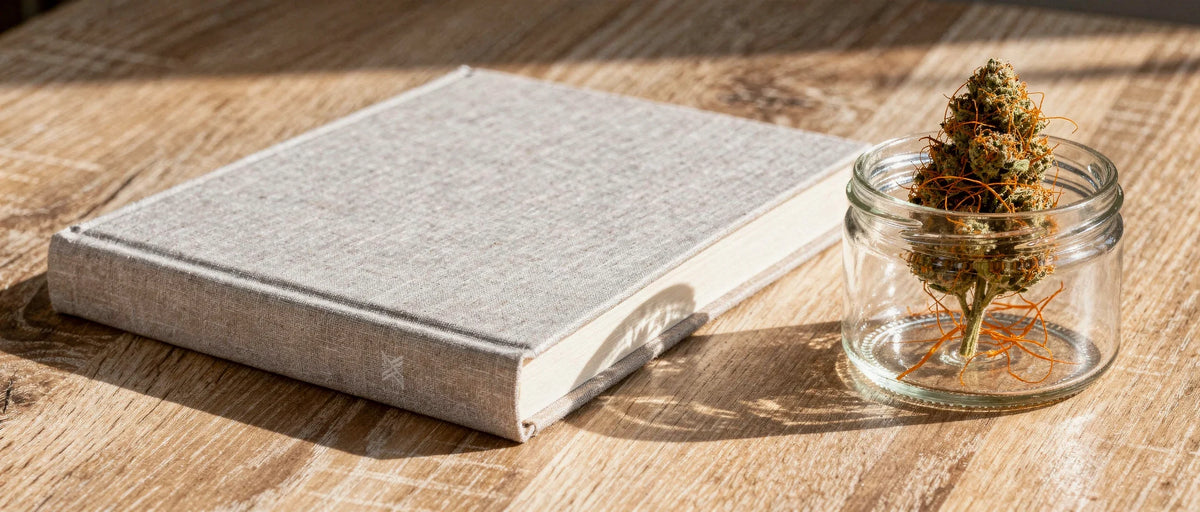 Delta-8 Legalität in Deutschland: Überblick 09/2026