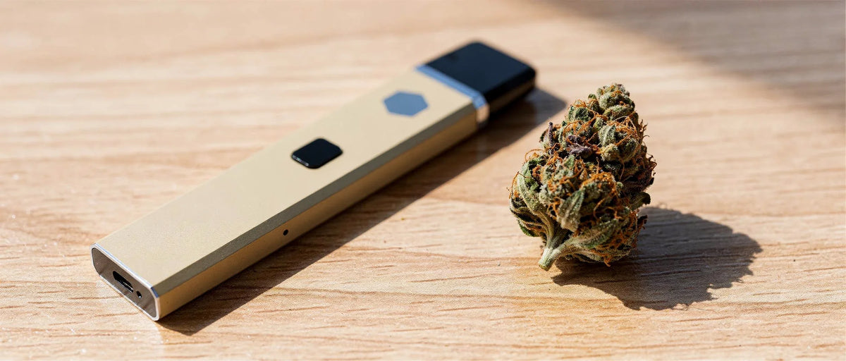 H4CBD Wirkung: Was hydriertes CBD im Körper macht