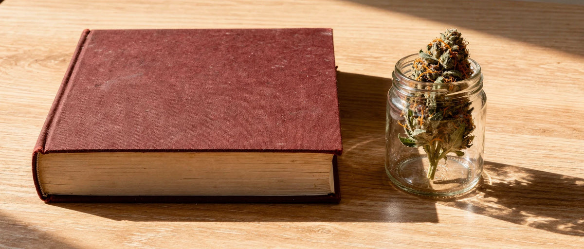 Geschlossenes Gesetzbuch und Glas mit Hanfblüte auf hellem Schreibtisch, Thema HHC und Polizeikontrolle
